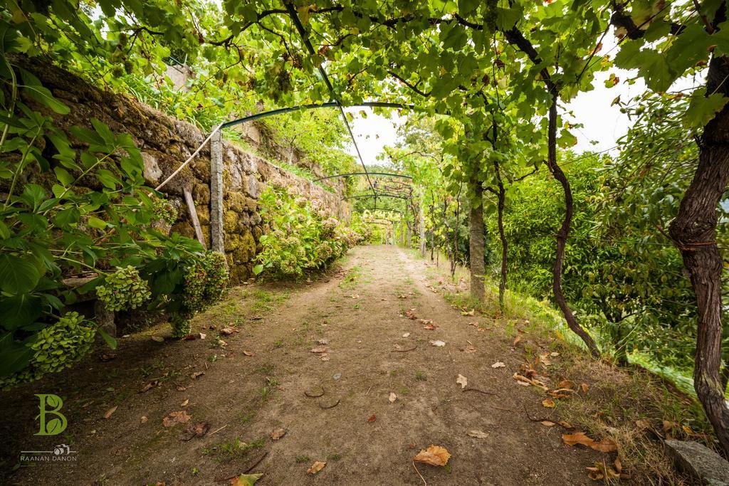 Quinta Da Bouca - Agroturismo Pacos de Gaiolo Pokój zdjęcie