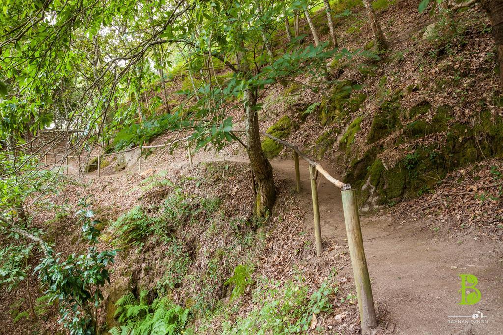 Quinta Da Bouca - Agroturismo Pacos de Gaiolo Pokój zdjęcie
