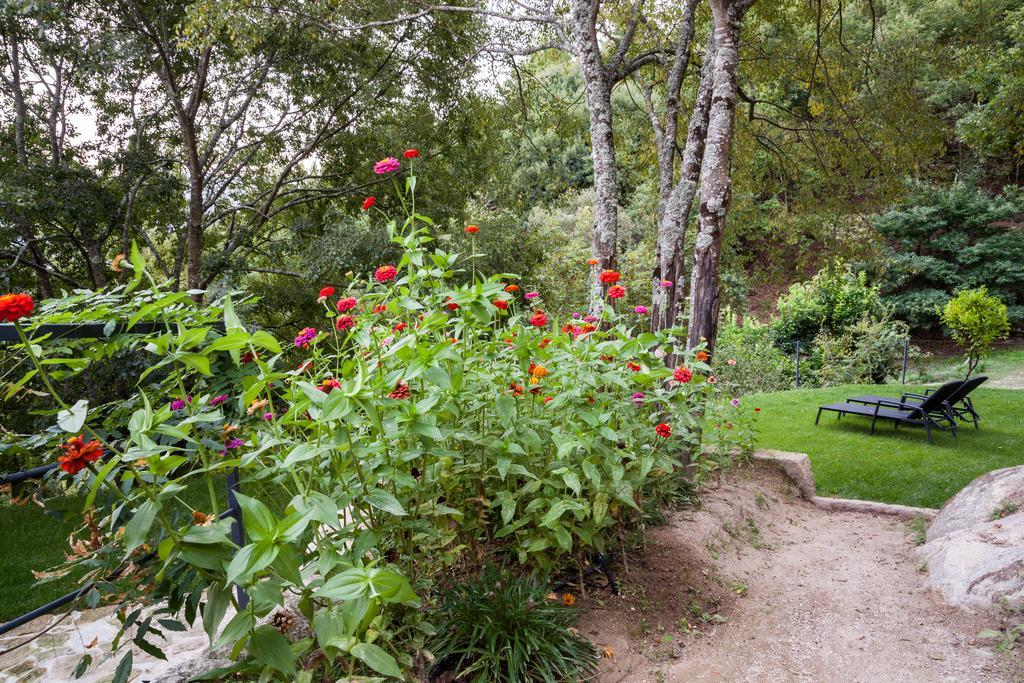 Quinta Da Bouca - Agroturismo Pacos de Gaiolo Pokój zdjęcie